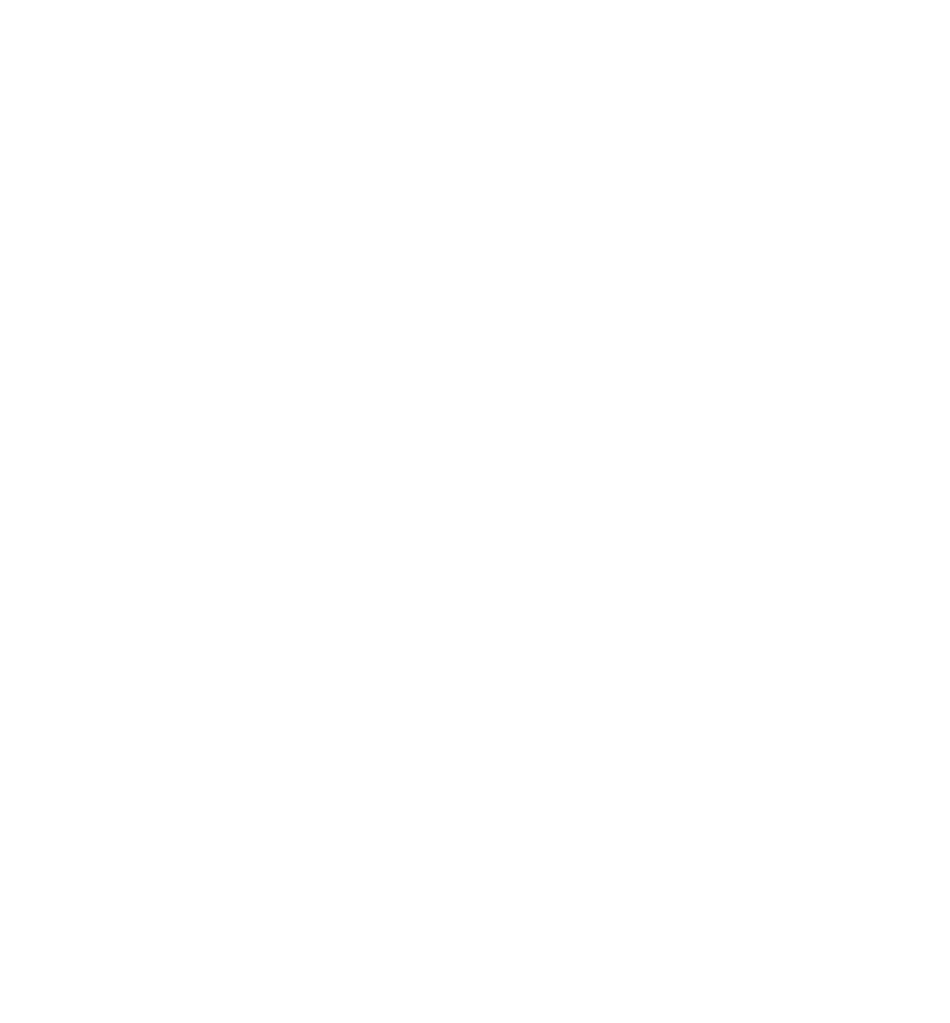 Panda Consultancy PLT panda logo in white